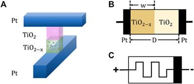 A π-Type Memristor Synapse and Neuron With Structural Plasticity